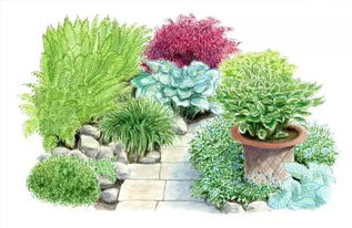 爱世园小伙伴 花境小科普，为迎接花卉盛宴做准备