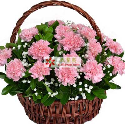 母亲节订花服务 台州路桥区花店为您传递爱的温暖